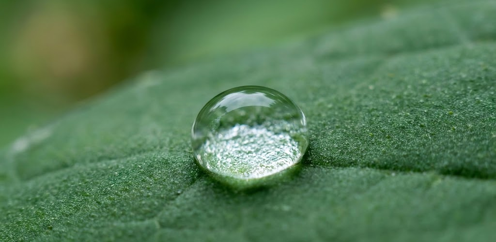 Water Wet